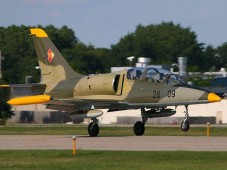 Vereinigte Staaten von Amerika : L-39 Albatros fliegen in den USA | Werden Sie zum Kampfjet Piloten