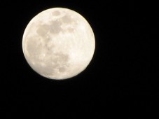 Europa : Mondgrundstück schweizweit