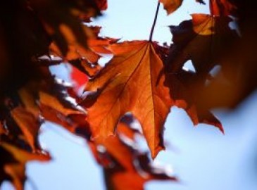 Erlebnisgeschenke im Herbst