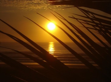 Urlaub