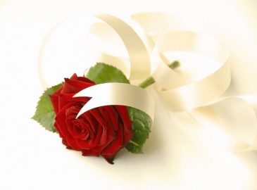 Geschenke f&uuml;r Valentinstag ... sollten etwas Besonderes sein!