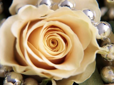 Valentinstagsgeschenke für Frauen