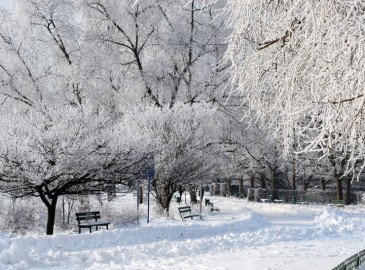 Geschenke für den Winter